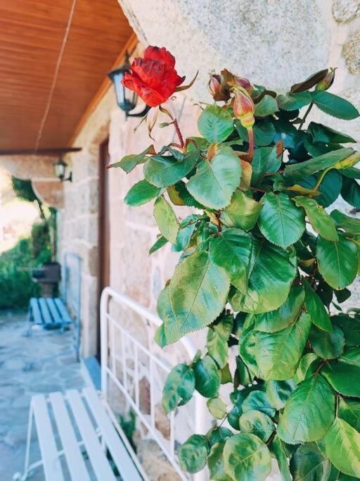 Вилла Casa Cabreiros De Baixo Мелгасу Экстерьер фото